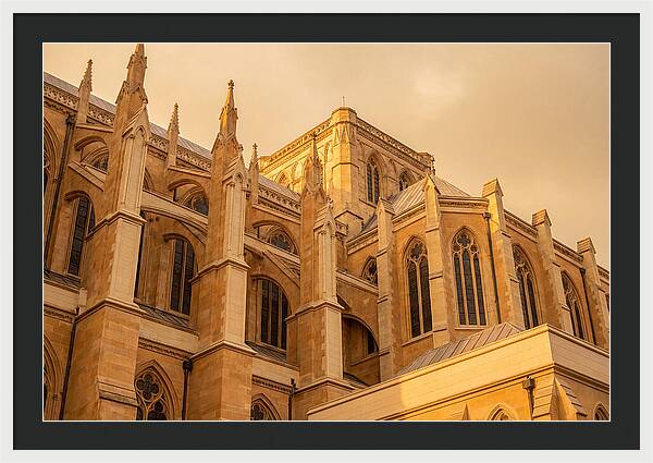 Gothic Cathedral Elegance