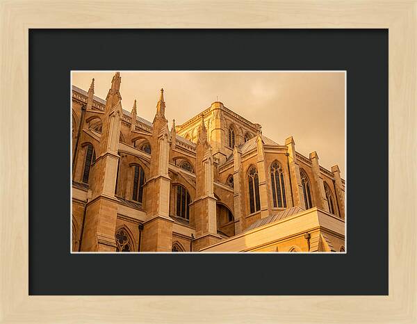 Gothic Cathedral Elegance