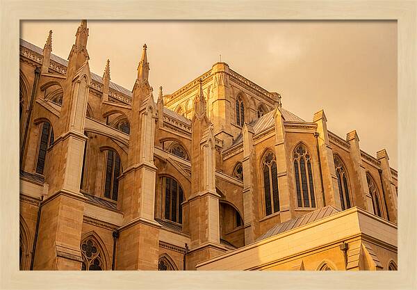 Gothic Cathedral Elegance