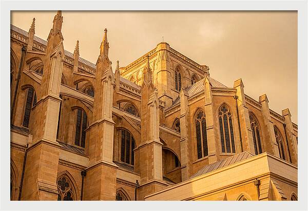 Gothic Cathedral Elegance