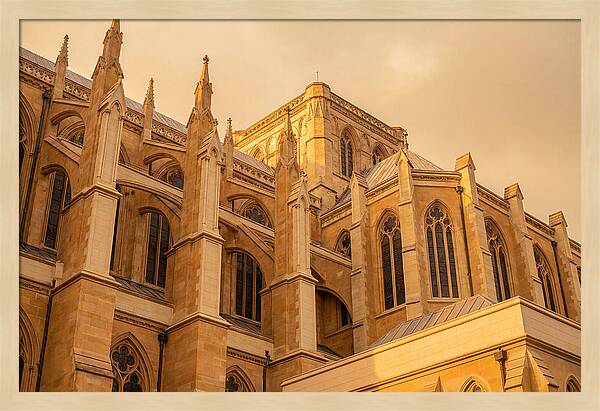 Gothic Cathedral Elegance