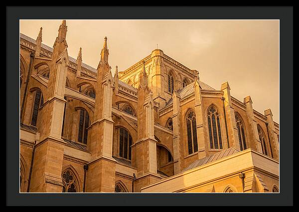 Gothic Cathedral Elegance