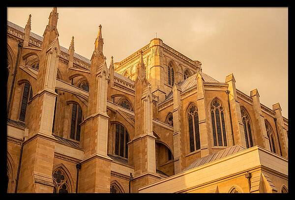 Gothic Cathedral Elegance