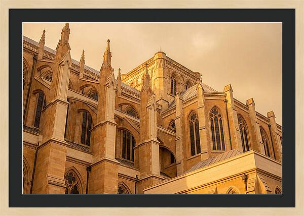 Gothic Cathedral Elegance