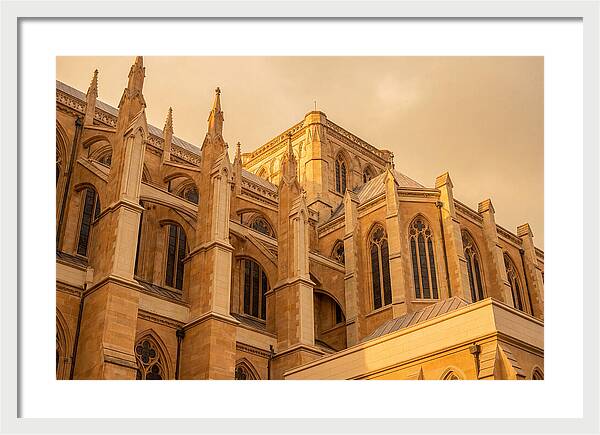 Gothic Cathedral Elegance