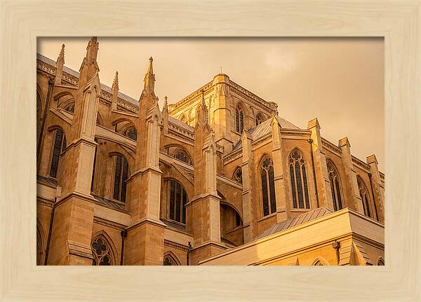 Gothic Cathedral Elegance