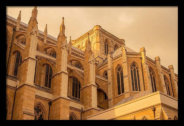 Gothic Cathedral Elegance