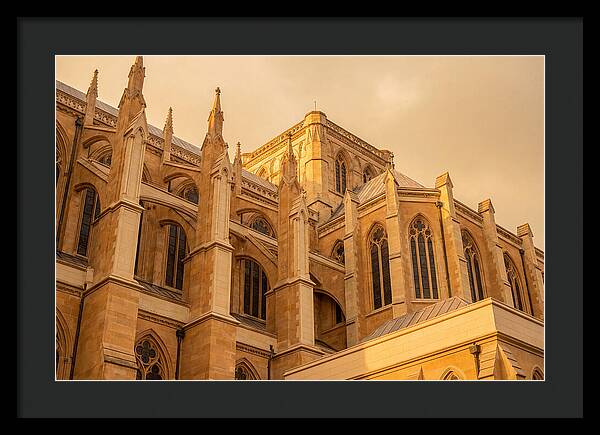 Gothic Cathedral Elegance