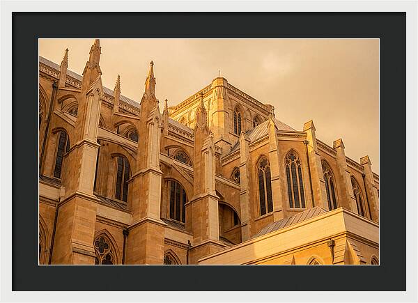 Gothic Cathedral Elegance