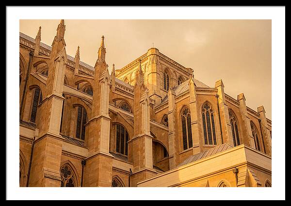 Gothic Cathedral Elegance