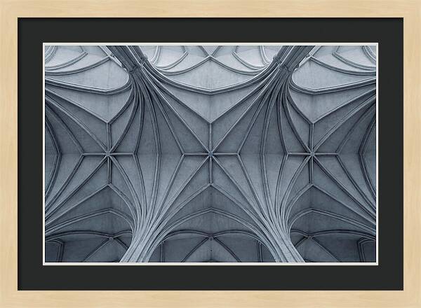 Gothic Ribbed Vaults Above