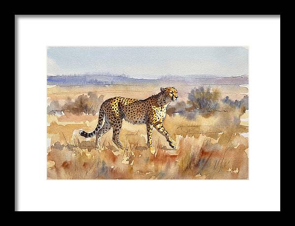 Graceful Cheetah On