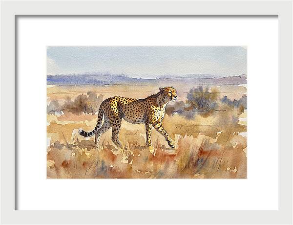 Graceful Cheetah On