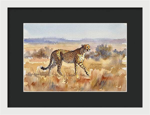 Graceful Cheetah On