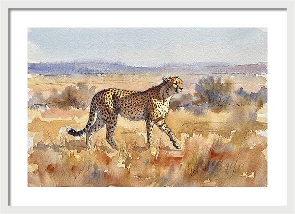 Graceful Cheetah On