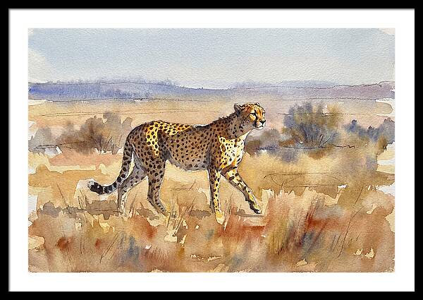 Graceful Cheetah On