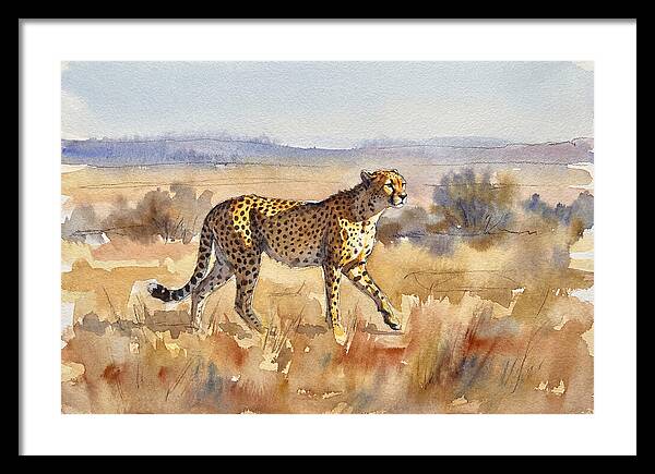 Graceful Cheetah On