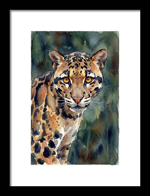 Graceful Clouded Leopard