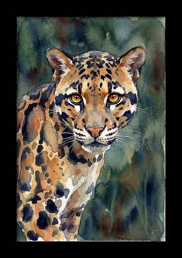 Graceful Clouded Leopard
