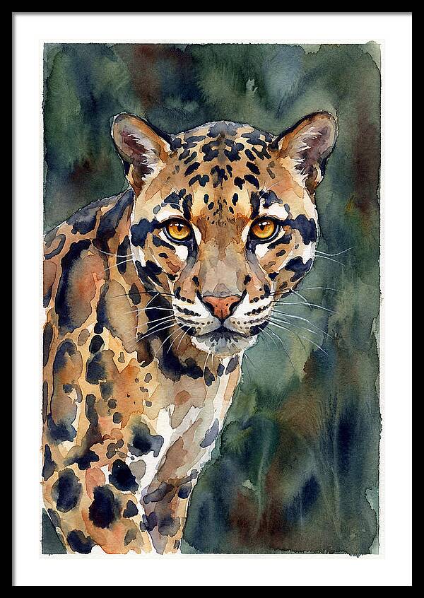 Graceful Clouded Leopard
