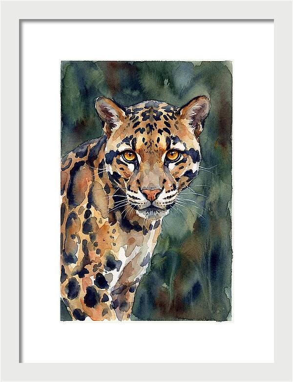 Graceful Clouded Leopard