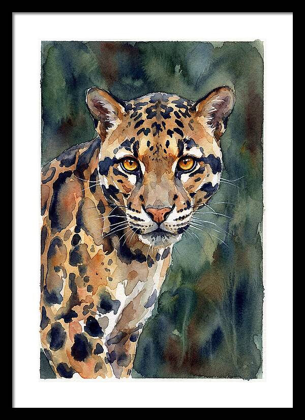 Graceful Clouded Leopard