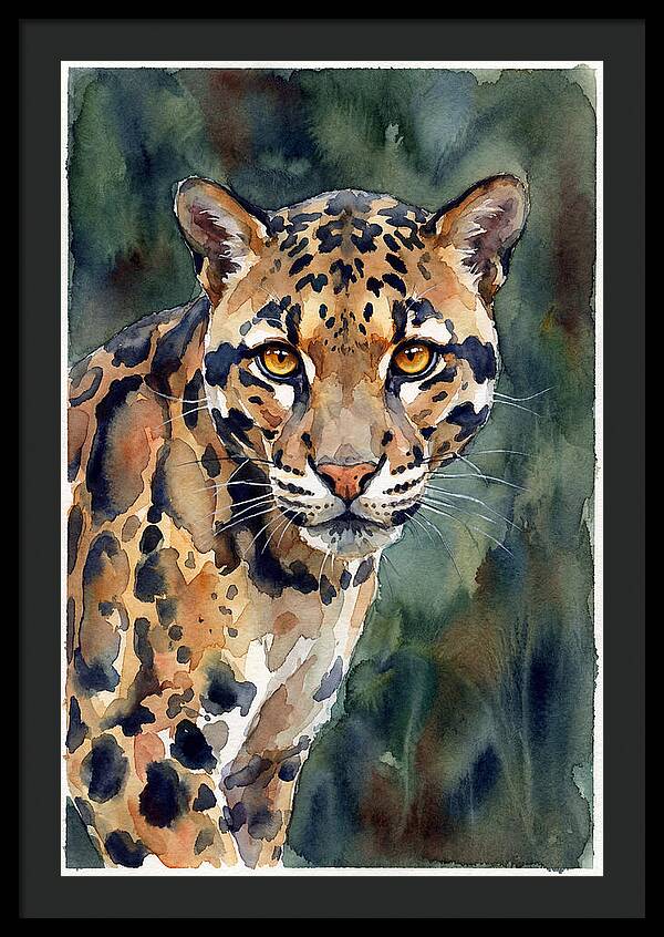 Graceful Clouded Leopard