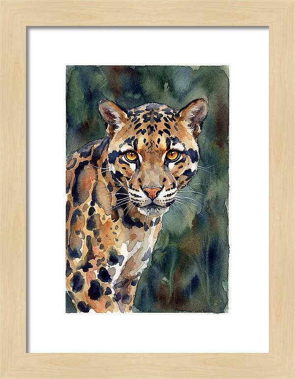 Graceful Clouded Leopard