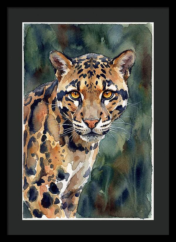 Graceful Clouded Leopard