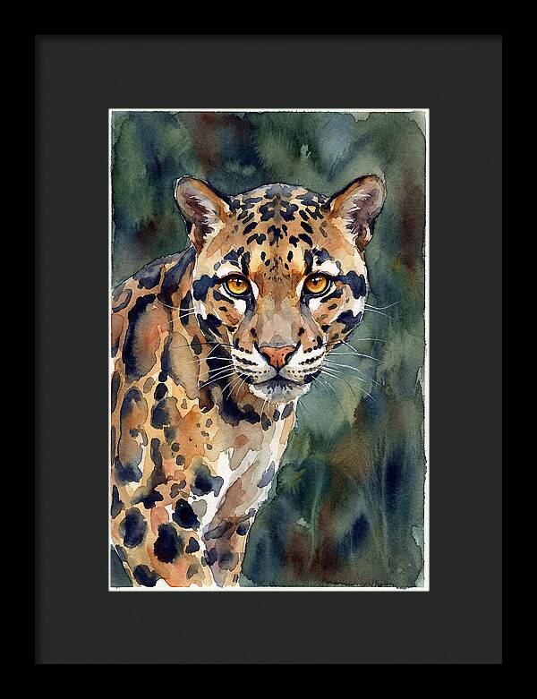 Graceful Clouded Leopard
