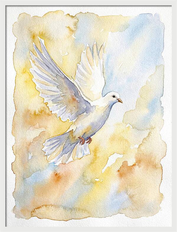 Graceful Dove Soaring