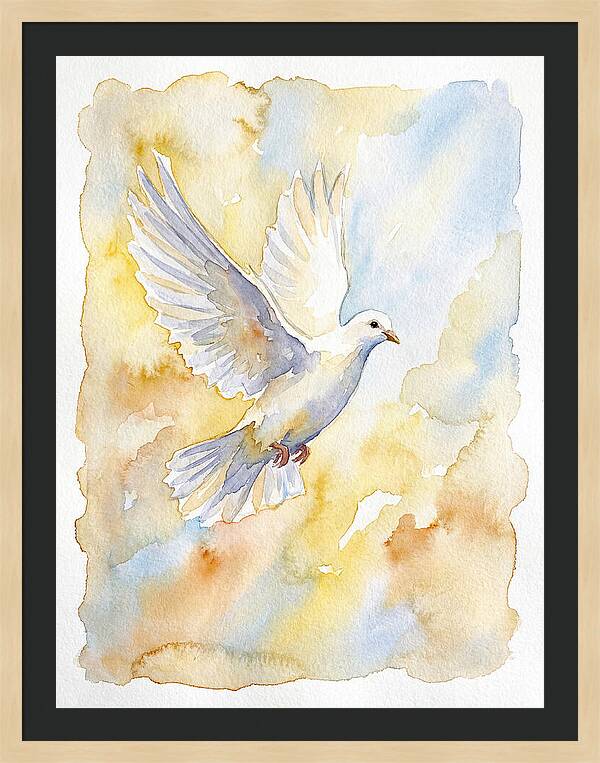 Graceful Dove Soaring