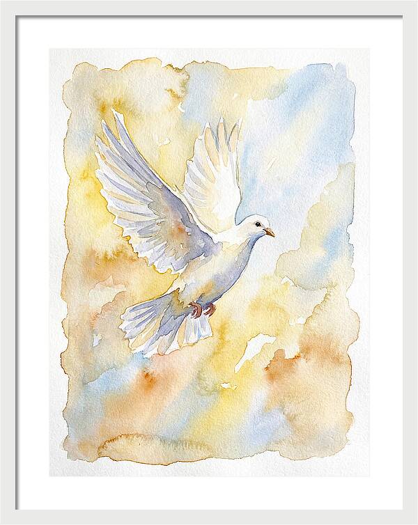 Graceful Dove Soaring