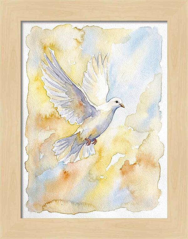 Graceful Dove Soaring