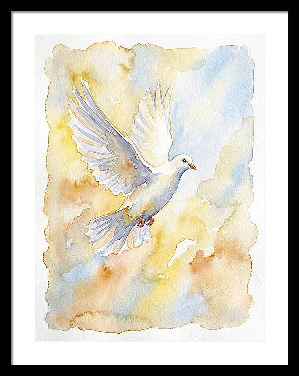 Graceful Dove Soaring