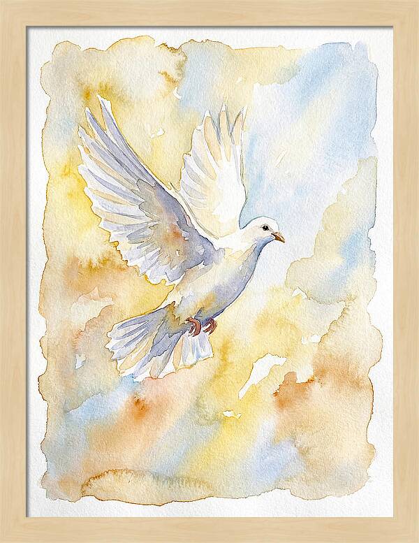 Graceful Dove Soaring