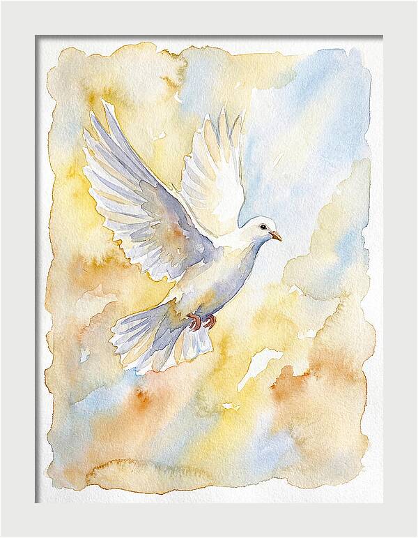 Graceful Dove Soaring