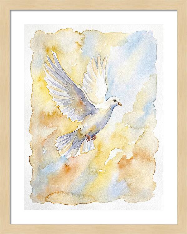 Graceful Dove Soaring