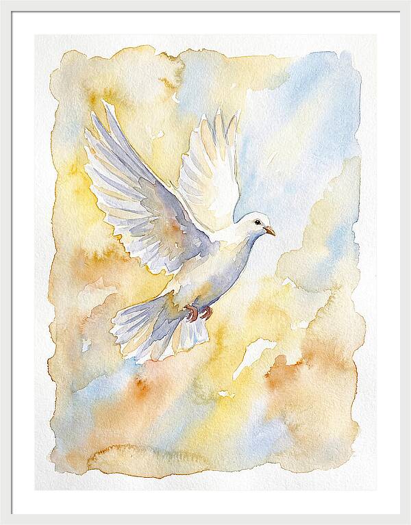 Graceful Dove Soaring