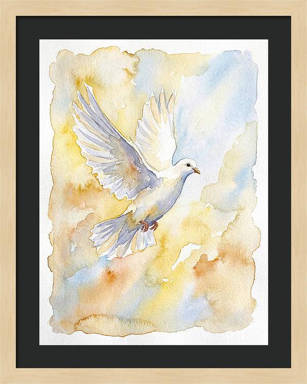 Graceful Dove Soaring