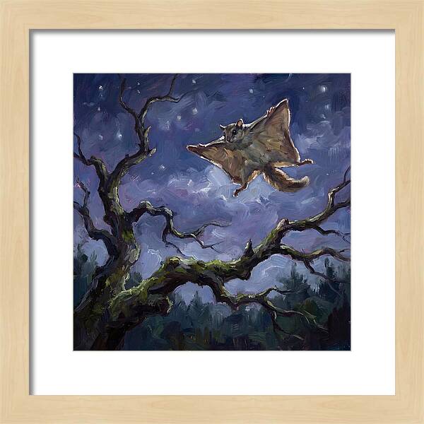 Graceful Glide Of The Flying Squirrel