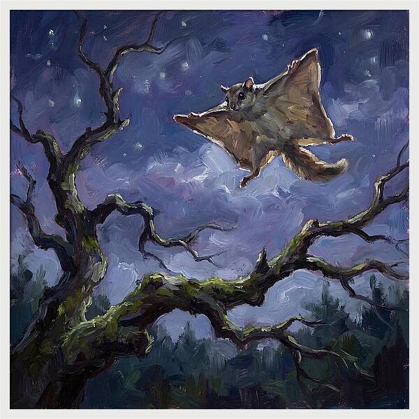 Graceful Glide Of The Flying Squirrel