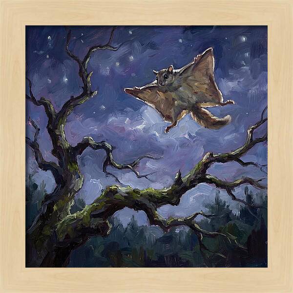 Graceful Glide Of The Flying Squirrel
