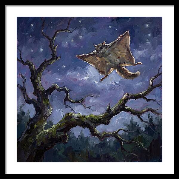 Graceful Glide Of The Flying Squirrel