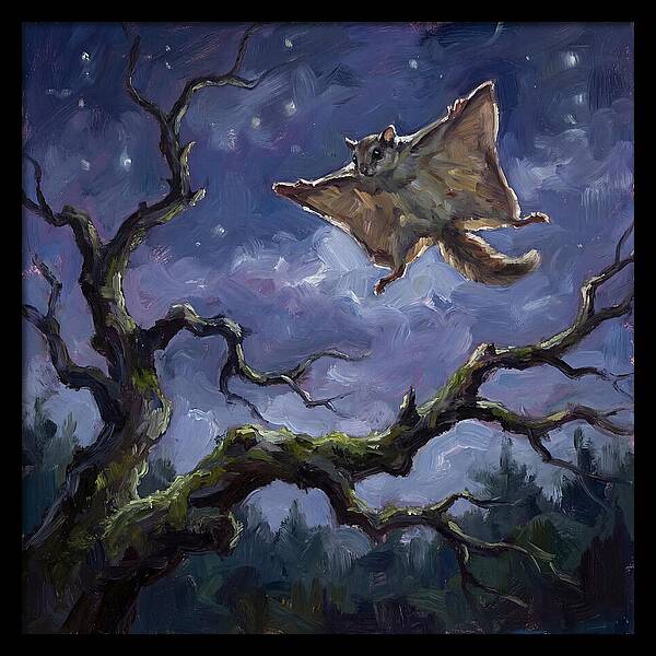 Graceful Glide Of The Flying Squirrel