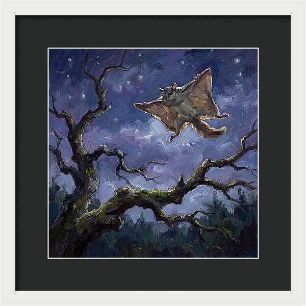 Graceful Glide Of The Flying Squirrel