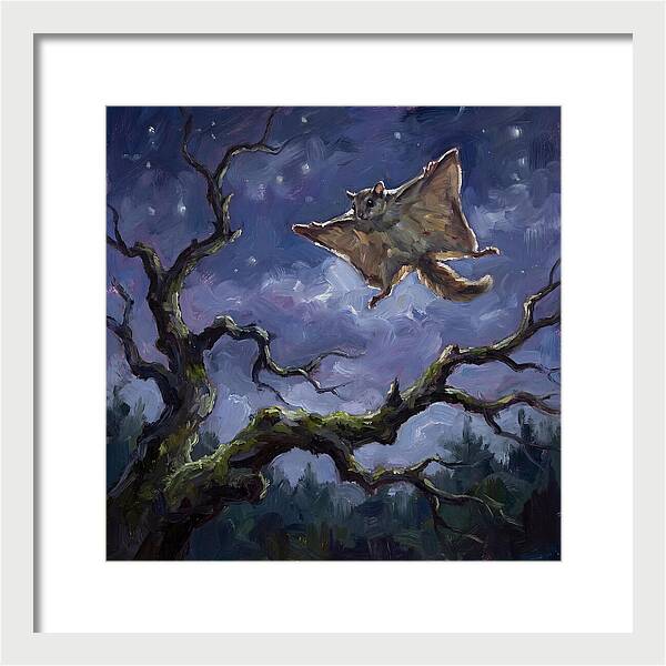 Graceful Glide Of The Flying Squirrel