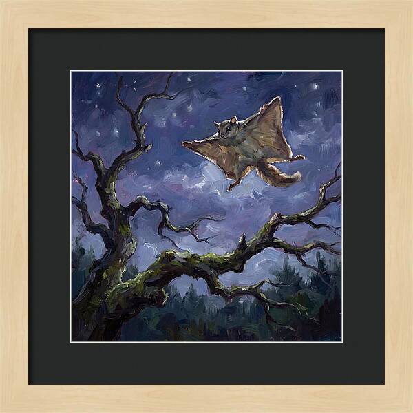 Graceful Glide Of The Flying Squirrel