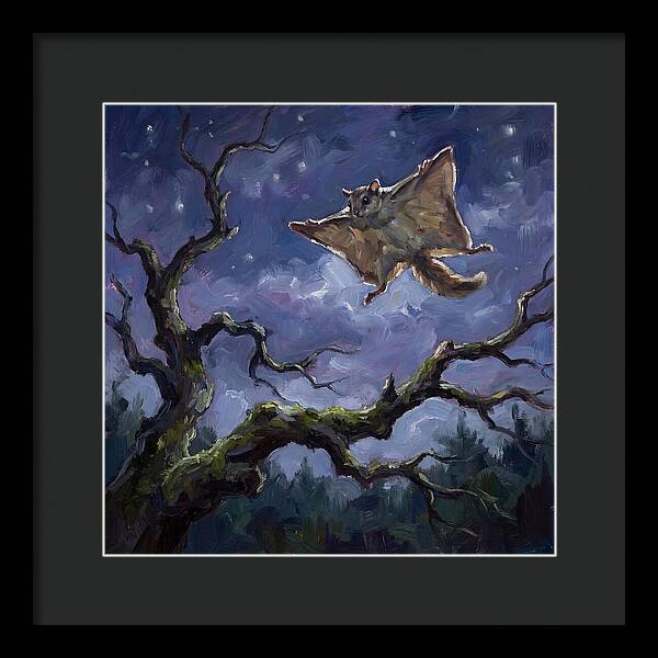 Graceful Glide Of The Flying Squirrel