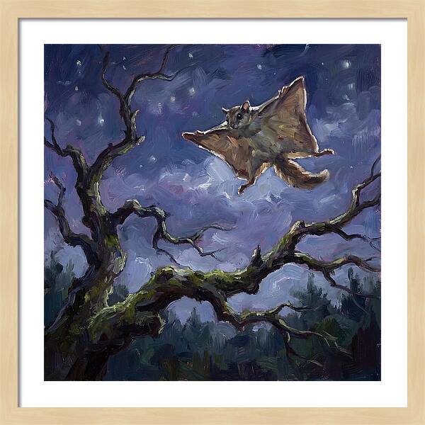 Graceful Glide Of The Flying Squirrel